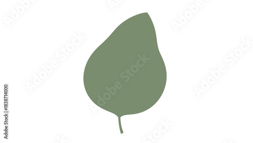 Stylized solid sage green leaf shape with a short petiole on a white background