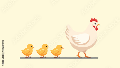 White hen leading three yellow chicks walking left on a dark line