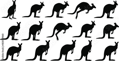 Collection of kangaroo silhouettes showing various poses and jumping movements in bold black vector style for wildlife illustration, Australian animal designs, and nature themes