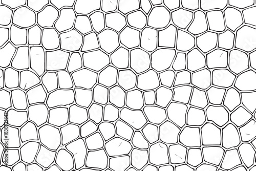 Microscopic Cell Structure: A detailed view reveals an intricate network of cells, illustrating the fundamental building blocks of life, perfect for scientific and educational uses.