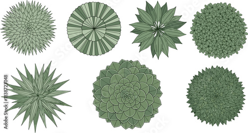 Symmetrical botanical mandala set with geometric floral patterns, radial leaf designs, fractal-inspired top-down plant illustrations for nature-themed decor