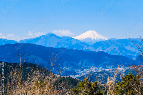 富士山　高尾山頂上