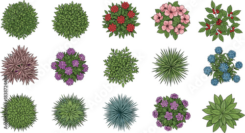 Top View of Diverse Plants and Shrubs with Flowers for Landscape Design, Garden Planning, Nature Clipart, and Botanical Vector Illustration