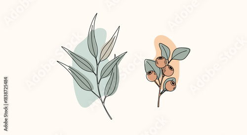 A modern and elegant line art illustration of a eucalyptus branch and a sprig of blueberries set against abstract pastel-colored shapes.