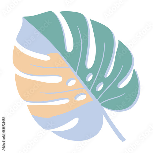 A modern and colorful illustration of a tropical monstera leaf on a white background Vector, illustration