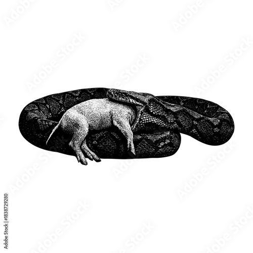 large python coiled tightly around a pig, capturing a dramatic moment of predator and prey in nature with strong textures and high contrast.