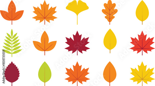 Colorful autumn leaf illustration set featuring various tree species in stylized vector designs for seasonal, educational, and decorative use.