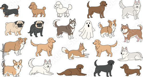 Collection of cute dog breed vector illustrations featuring playful poses, diverse canine characters, and adorable pets in cartoon style