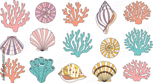 Colorful collection of seashell and coral reef vector illustrations showcasing ocean marine elements for beach, summer, and underwater designs