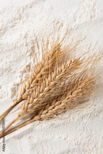 Close-up of white flour with wheat ears background.