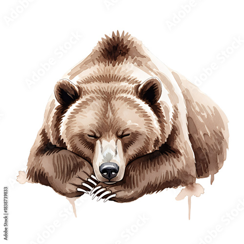 Stunning watercolor illustration of a peaceful brown bear sleeping soundly, perfect for cozy designs and captivating wildlife themes