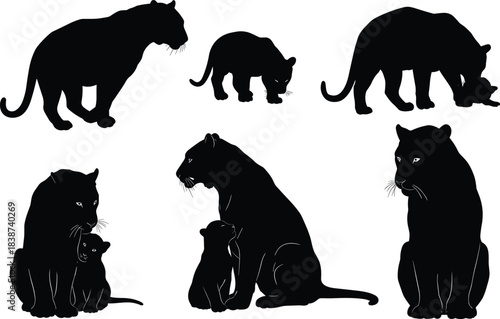 Panther silhouette, adult and cub interaction, nurturing behavior, wildlife family bond, animal posture, black figure, white background, nature concept