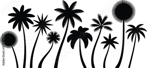 silhouette of palm tree