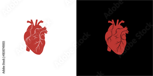 Two illustrative red anatomical hearts, one on a white background and the other on a black background, representing human biology.