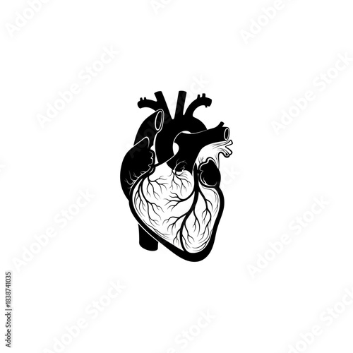 Stylized black and white illustration of a human anatomical heart with visible blood vessels and chambers.