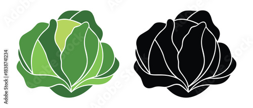 Cabbage icon vector design. Fresh green cabbage symbol. Silhouette of cabbage, vegetable vector illustration.
