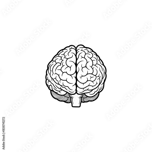 Detailed black and white line art illustration of a human brain with visible hemispheres and intricate folds.