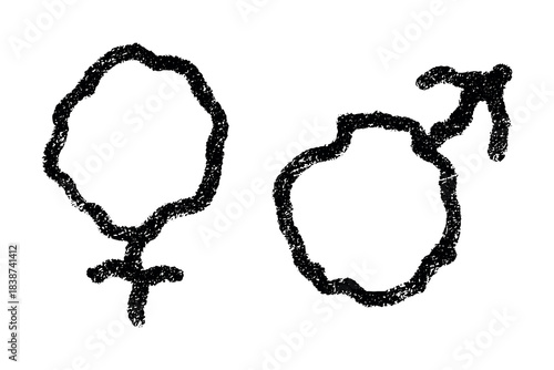 Hand drawn female and male gender identity sign Symbol used to represent sex and gender Single element for print, web, design, decor