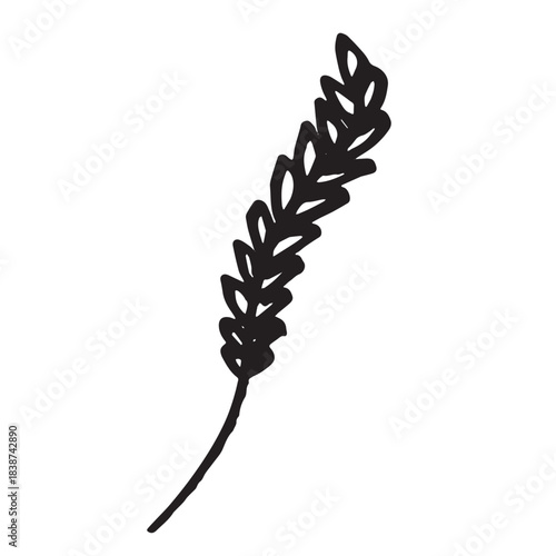 Hand drawn cereal wheat oat rye barley rice ears spikelet clipart Organic wheat bread agriculture farming harvest healthy food Single element for print packaging label design decor