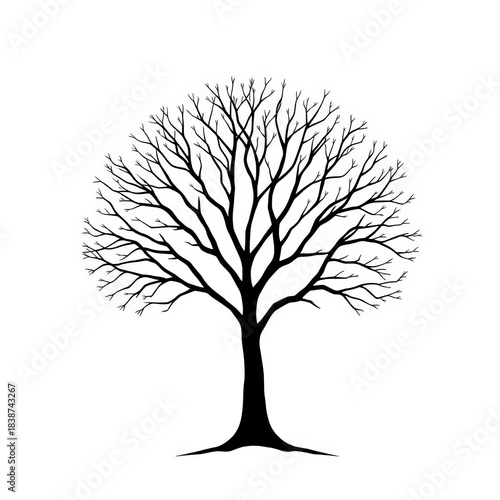 A stylized, minimalist depiction of a tree with simple geometric shapes and clean lines,  art, abstract