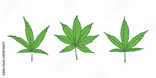 Set of hand drawn cannabis leaf Medicine marijuana Hemp leaves clipart in doodle style Single element for print, web, design, decor