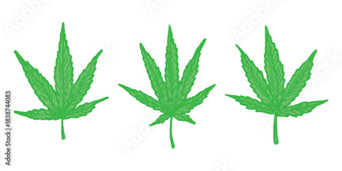 Set of hand drawn cannabis leaf Medicine marijuana Hemp leaves clipart in doodle style Single element for print, web, design, decor