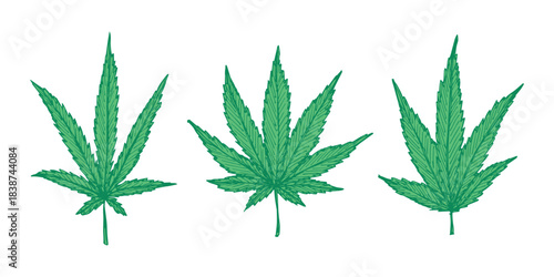 Set of hand drawn cannabis leaf Medicine marijuana Hemp leaves clipart in doodle style Single element for print, web, design, decor