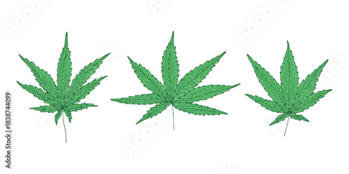 Set of hand drawn cannabis leaf Medicine marijuana Hemp leaves clipart in doodle style Single element for print, web, design, decor