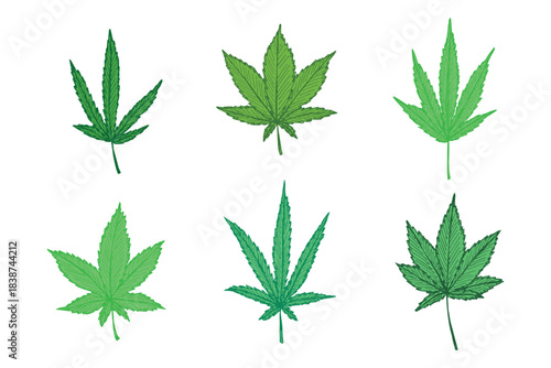 Set of hand drawn cannabis leaf Medicine marijuana Hemp leaves clipart in doodle style Single element for print, web, design, decor