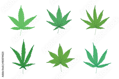 Set of hand drawn cannabis leaf Medicine marijuana Hemp leaves clipart in doodle style Single element for print, web, design, decor