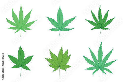Set of hand drawn cannabis leaf Medicine marijuana Hemp leaves clipart in doodle style Single element for print, web, design, decor