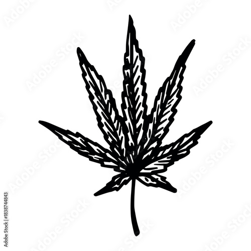 Hand drawn cannabis leaf Medicine marijuana Hemp leaves clipart in doodle style Single element for print, web, design, decor