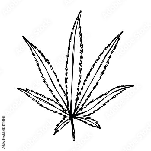 Hand drawn cannabis leaf Medicine marijuana Hemp leaves clipart in doodle style Single element for print, web, design, decor