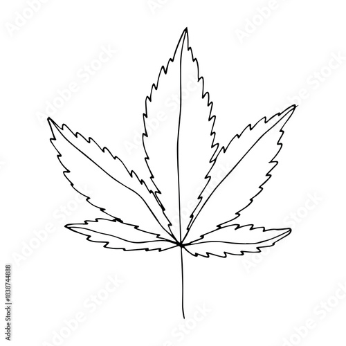 Hand drawn cannabis leaf Medicine marijuana Hemp leaves clipart in doodle style Single element for print, web, design, decor