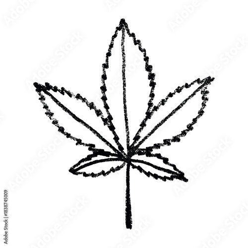 Hand drawn cannabis leaf Medicine marijuana Hemp leaves clipart in doodle style Single element for print, web, design, decor
