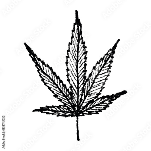 Hand drawn cannabis leaf Medicine marijuana Hemp leaves clipart in doodle style Single element for print, web, design, decor