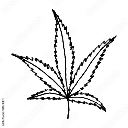 Hand drawn cannabis leaf Medicine marijuana Hemp leaves clipart in doodle style Single element for print, web, design, decor