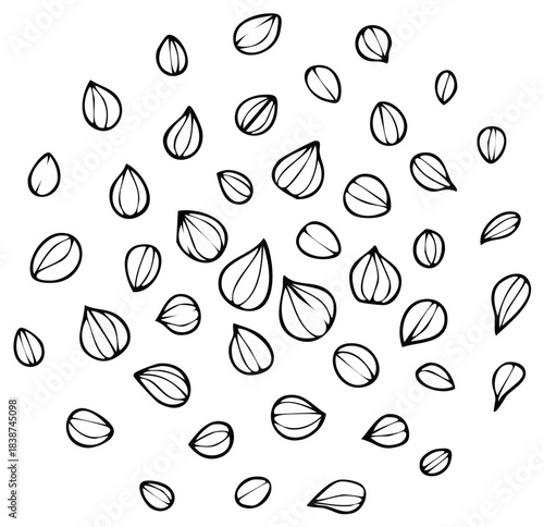 Abstract illustration of scattered seed shapes in black outline design