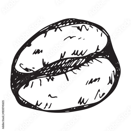 Hand drawn fresh roasted coffee bean Arabica robusta seed doodle Single element for print, web, design, decor