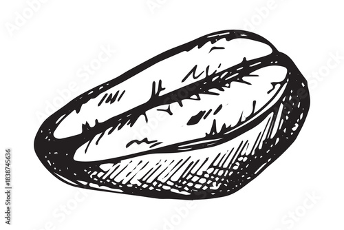 Hand drawn fresh roasted coffee bean Arabica robusta seed doodle Single element for print, web, design, decor