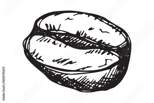 Hand drawn fresh roasted coffee bean Arabica robusta seed doodle Single element for print, web, design, decor