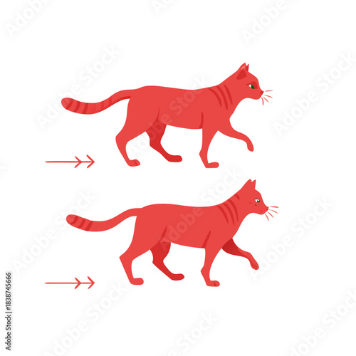 Steps of a red funny cat. Animation of a cat's gait cycle.