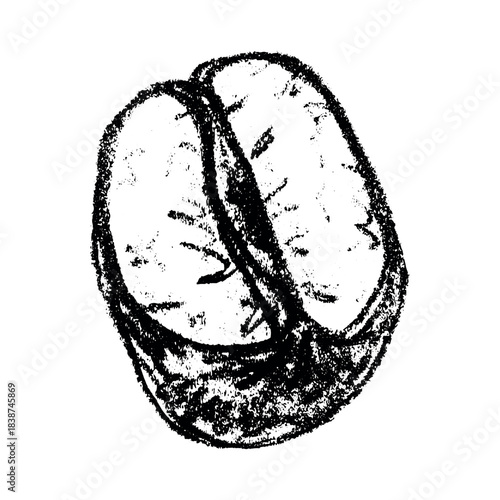 Hand drawn fresh roasted coffee bean Arabica robusta seed doodle Single element for print, web, design, decor