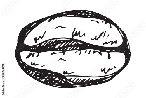 Hand drawn fresh roasted coffee bean Arabica robusta seed doodle Single element for print, web, design, decor