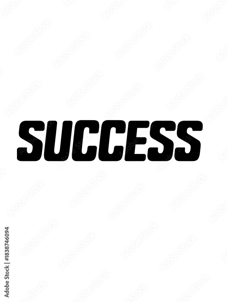 Fototapeta premium SUCCESS IMAGE
