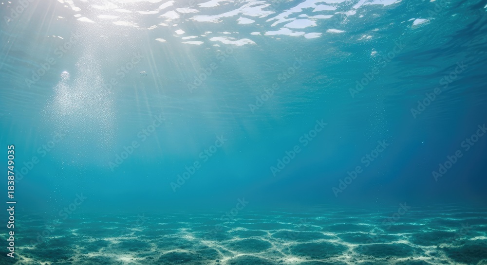 Fototapeta premium Underwater scene with sunlight filtering through the water.