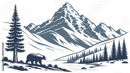 winter forest in the mountains