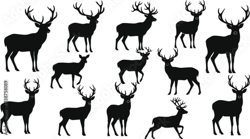 Set of black silhouettes of wild deer and stags with antlers, standing and walking poses, isolated on white background for nature design.