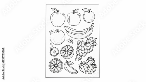 Assortment of Fresh Fruits Line Art Drawing for Coloring Book.