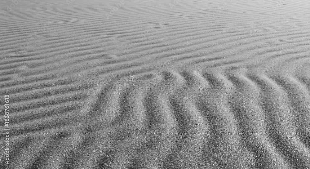 Obraz premium Close up texture of fine dry sand forming a natural monochrome desert landscape backdrop with extensive copy space for design projects ,textured ,desert ,horizontal